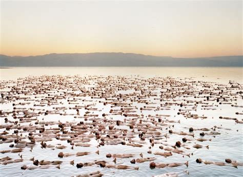 nude models pic|The Naked World of Spencer Tunick